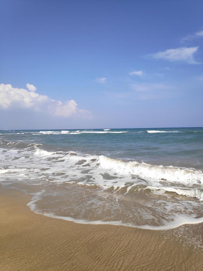 Relax&Dream Apartment Long Beach Agios Georgios  Eksteriør bilde
